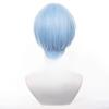 Frieren Beyond Journey's End Himmel Cosplay Wig with Special Color and No Trimming Required