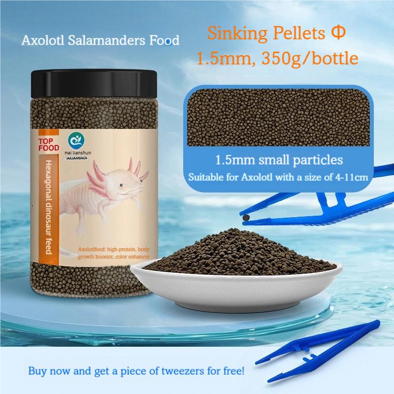 Axolotl Salamanders Food Ambystoma Mexicanum Ground