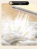 Portable Steam Garment Steamer and Ironing Device