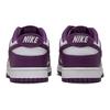 Nike Dunk Low White Viotech Skate Shoes Sneakers DV0833-107