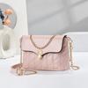 Fashionable Lock Buckle Chain Shoulder Bag Women's New 2026 Luxury Sensation Lightweight Crossbody Bag Womens Underarm Bag