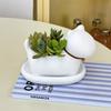 Cartoon Small Bell Cat Succulent Plant Flower Pot Desktop Succulent Plant Pot Decoration Mini Flower Pot Home Garden Decoration