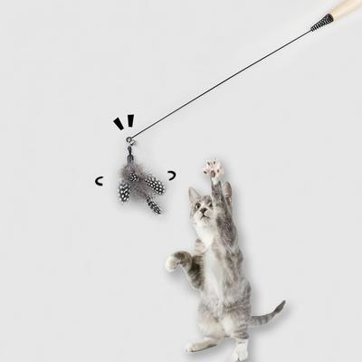 Wooden Handle Spring Teasing Cat Stick Pearl Feather Replacement Head Scratching and Biting Cat Toys To Relieve Boredom