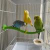 Plastic Swing Perch Toy Simulation Bird Parrot Play Rack Bird Cage Toy  for Bird Cage Aviary