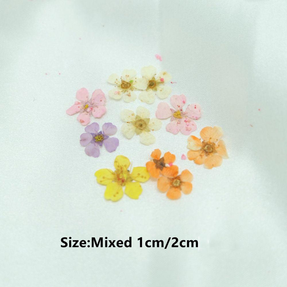 Pressed Flower 3D Nail Art Decorations Manicure Accessories Nail Art Dried Flower DIY Nail Decals