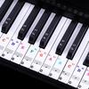 88/61 Key Color Piano Letter Notes Stickers Keyboard Hand Roll Piano Keyboard Transparent Stickers