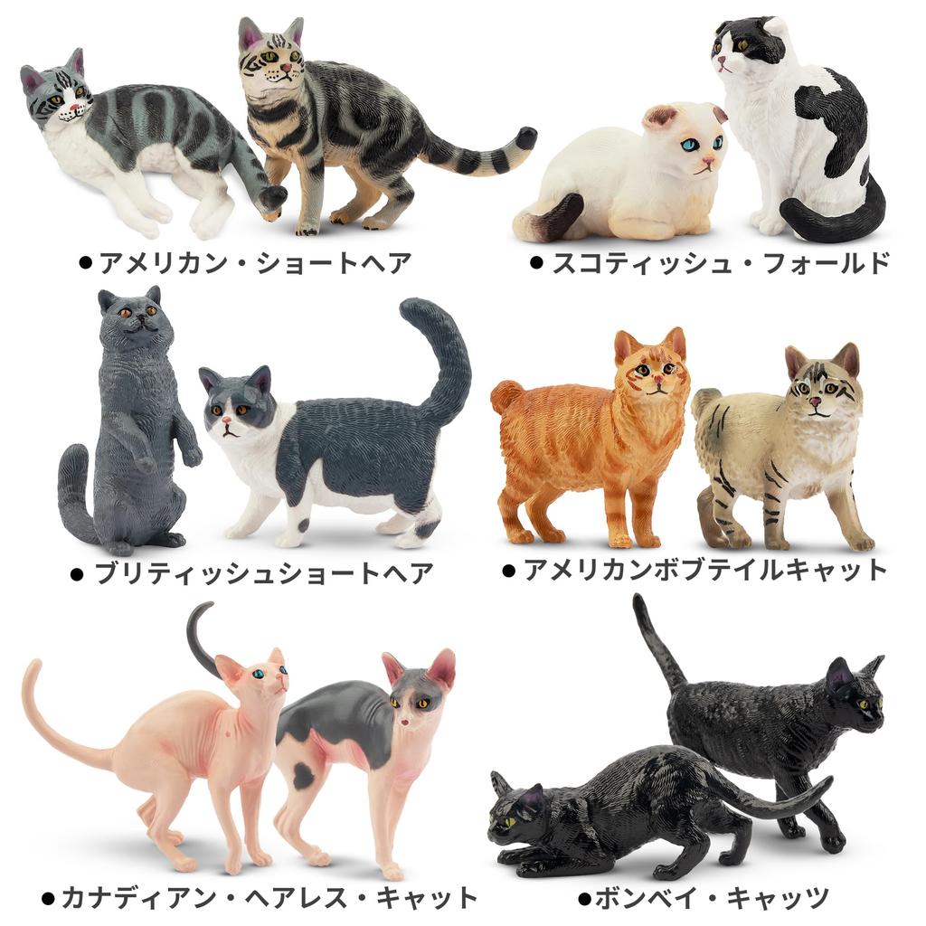 EYSCOTA CAT Animal Figure Plastic Animal Set for Kids Set, 12-Piece