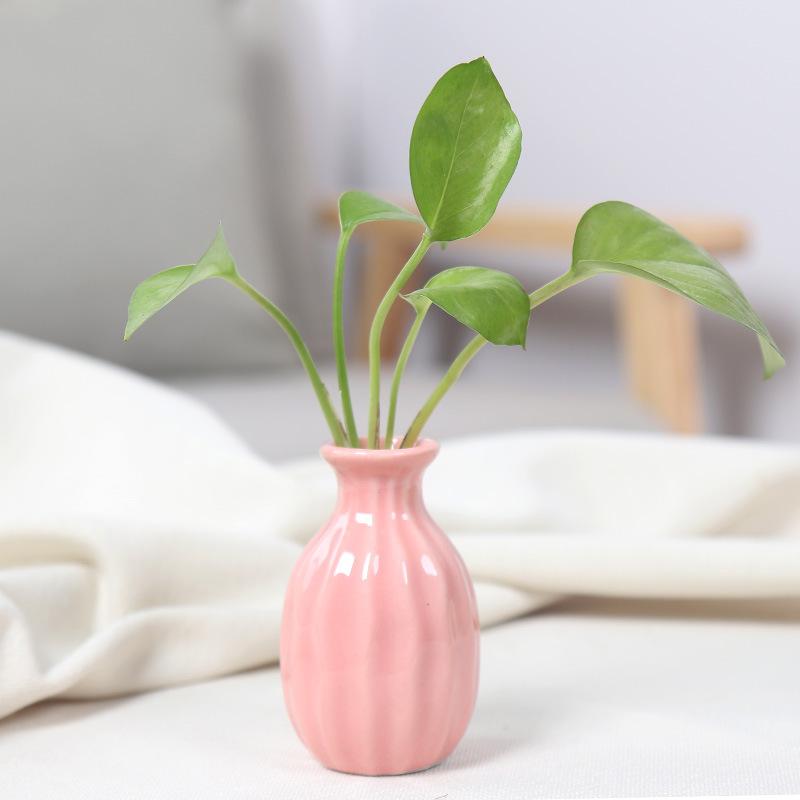 Ceramics Flower Vase Nordic Hydroponics Vases Creative Room Decor Mini Flower Plant Bottle Pots Table Ornament Colorful Vase