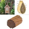50 Pcs Mason Bee Tube Refills for Beekeepers House Garden Pollinator Bee House