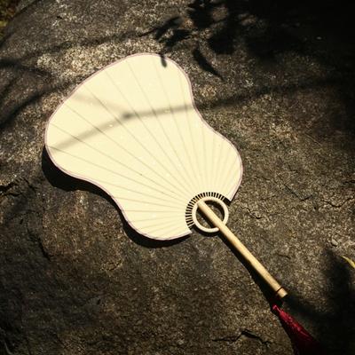 Accesorii – Evantaie