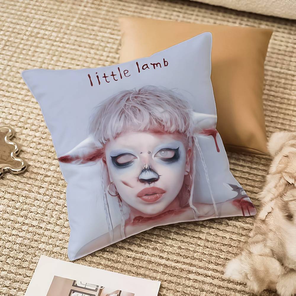 J-Jazmines B-Beans Pillow Case Anti-Dustmite Invisible Zipper Sofa Bed