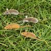 1/2 stuks Realistisch Muis Dier Ornament Koelkastmagneet Muizen Speelgoed Buiten Tuin Bloempot Ambachtelijke Decoratie