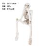 Halloween Decorations, Creative Skull Skeletons, Resin Crafts, Halloween Party Ornaments, Bar Decoration Ornaments