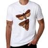 Bogong Moths Tshirt Novelty Print Casual Tee Shirt