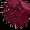 54.99cm Jucărie de pluș realistă Anomalocaris, creveți roșii vibrante, realistă, cu detalii complexe, Cadouri de Crăciun, Aniversare
