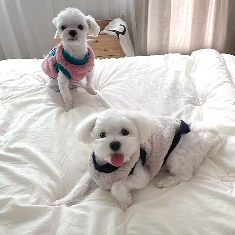 Pet Autumn And Winter Teddy Fleece Kitten Cat Bichon Frize Small Puppy Schnauzer Dog Clothes