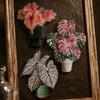 Rotatable Artificial Plant Fridge Stickers Magnets Waterproof Mini Plant Fridge Magnet  Kitchen