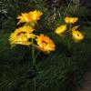 Solar Sunflower Light 24 LEDs Warm White IP55 Waterproof Outdoor Decorative Flower Light for Garden
