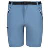 Regatta Xert Stretch III Shorts