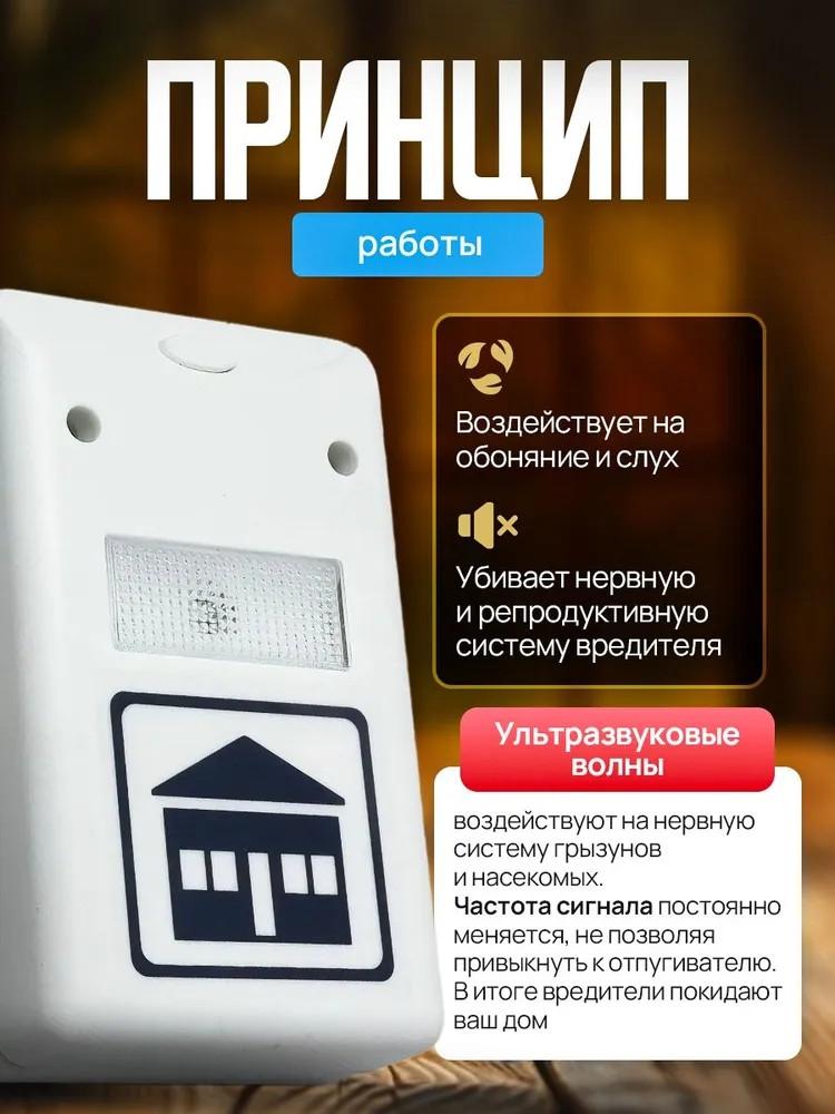 Snake Solar Rat Outdoor  Drive