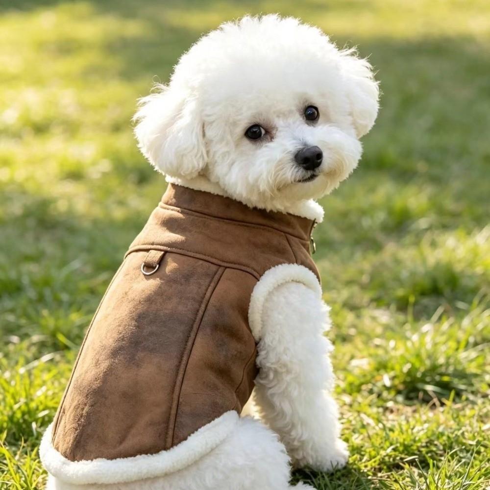 Solid-Colour Pet Padded Vest Cotton Material Pet Winter Jacket Warm Small Dog Coat Pet Clothing