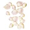 Rose Petals Rose 3 and 4.5 Cm 41 Pieces