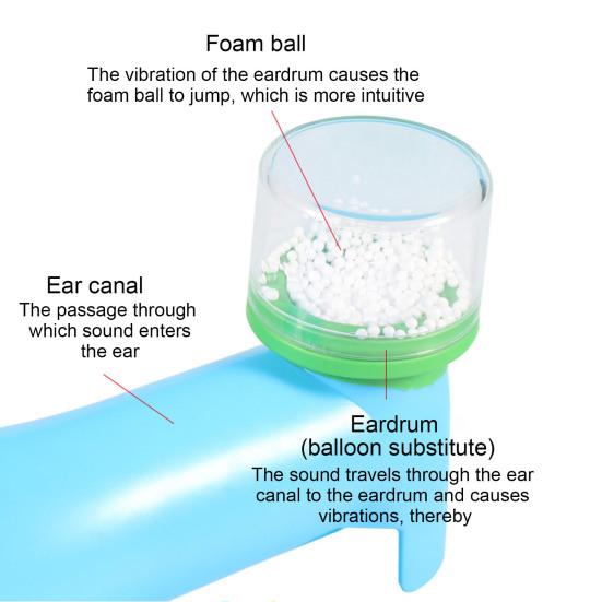 1 Sada DIY Model Bubínku Stavebnice Lidské Ucho Vedení Zvuku Učení Ručně Vyráběná Simulace Bubínku Stavební Řemesla Děti STEM Vzdělávací Fyzika Věda