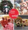 Chibi Maruko-chan Colorful 6mm Wool Chenille Stems for DIY Dragon Doll & Bouquet Crafting