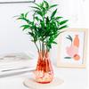 Modern Plastic Bud Vase Transparent Decorative Vase Flower Holder Centerpiece Vase for Home Wedding Birthday Parties Decor