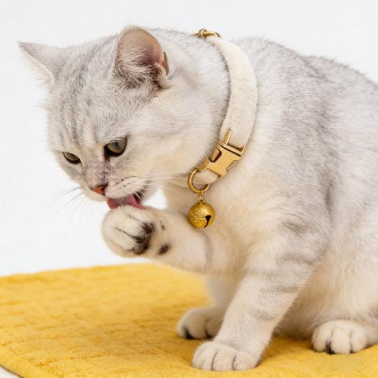קולר חתול מתכוונן קולר חיות מחמד רך עם פעמון נשלף קולר חיות מחמד בצבע אחיד לכלבים קטנים חתולים גורים טיולים בחוץ בטיחות