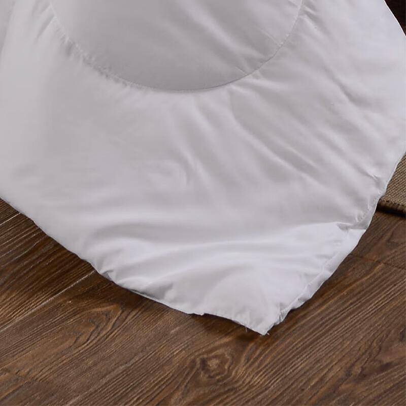 Mengjie Cloud Enjoy Winter Fiber Quilt