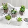 1Pcs Succulent Plant Artificial Transparent Flowerpot Fake Cactus Plant Indoor For Window Office Racks Bathroom Home Decoration