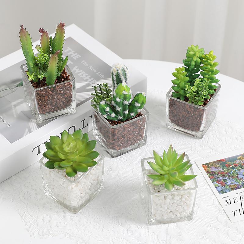 1Pcs Succulent Plant Artificial Transparent Flowerpot Fake Cactus Plant Indoor For Window Office Racks Bathroom Home Decoration