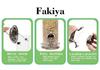 Windproof Waterproof Metal Hanging Bird Feeder for Small Birds and Parrots