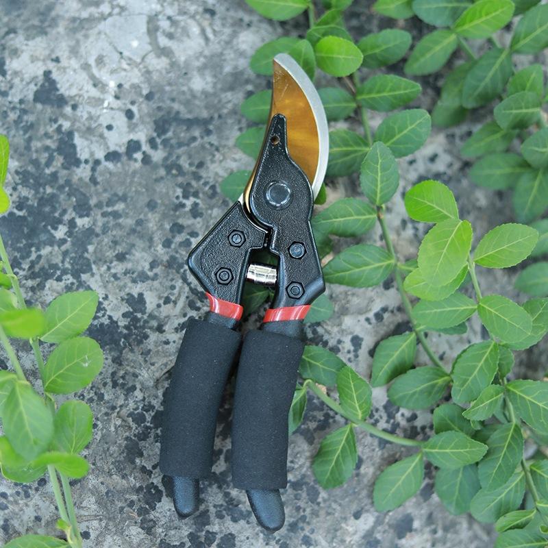 Garden Pruner Shears SK5 Blade Pruning Scissors for Bonsai Fruit Trees Flowers Branches Garden Pruners
