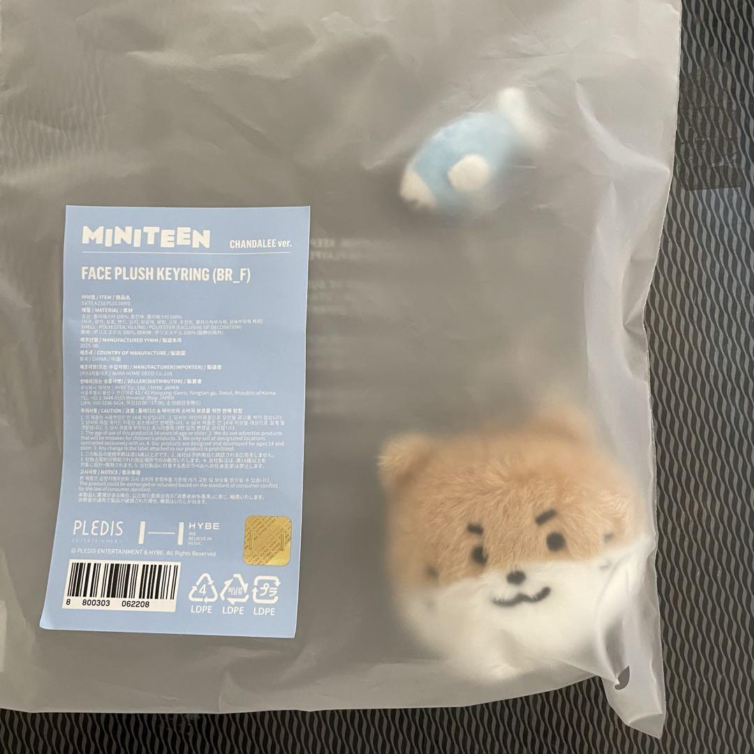 

[Б/У] MINITEEN Поп-ап брелок для лица Seventeen Dino