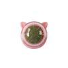 Catnip Ball Portable Cute Replacement Colorful Interactive 360 Degree Rotary Moistureproof Teeth Cleaning Snack Pet Toy