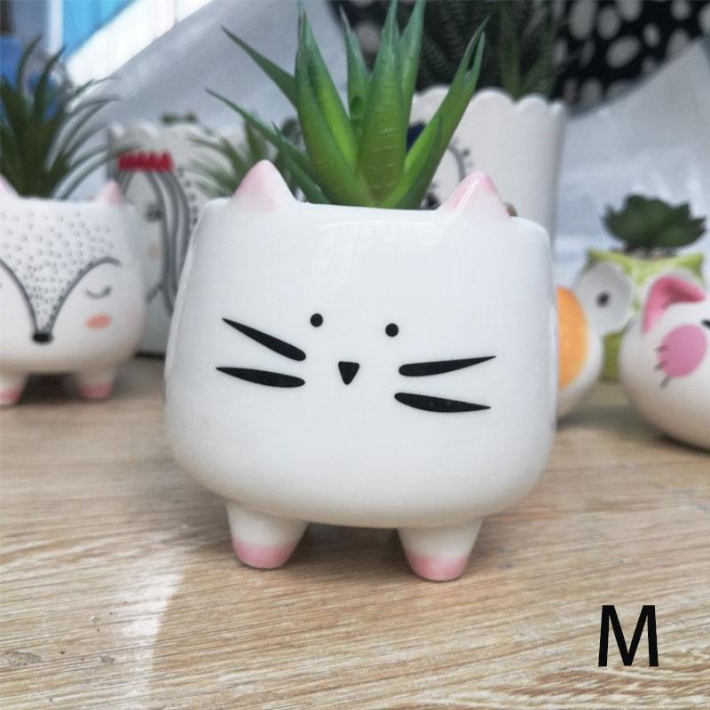 Mini vaso di Cactus vaso succulento decorazione pe... - Grandado