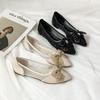 Korean version shallow mouth single shoes spring flat bottom student lace mesh grandma shoes fairy pointed beanie shoes