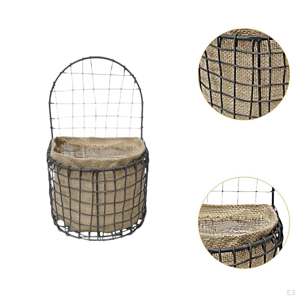 Contemporary Wall Mounted Plant Display for Indoor