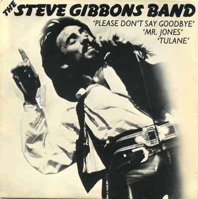 7inch Record STEVE GIBBONS BAND - Please Don't Say Goodbye 2058855 Polydor 1977 UK Rock Used