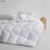 Muji Winter Antibacterial Goose Down Quilt