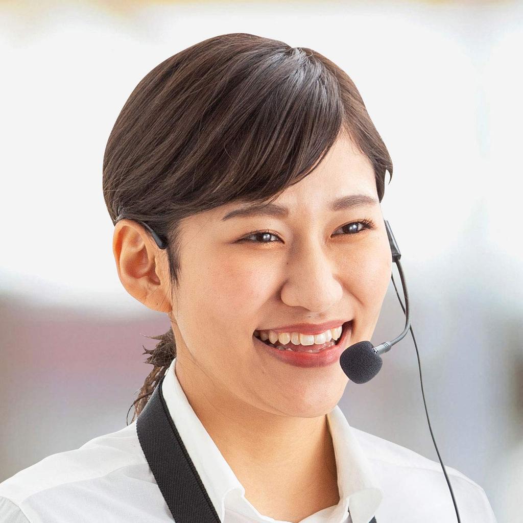 Sanwa Supply Head Microphone for (Replacement MM-SPAMP9) MM-SPAMP9HM