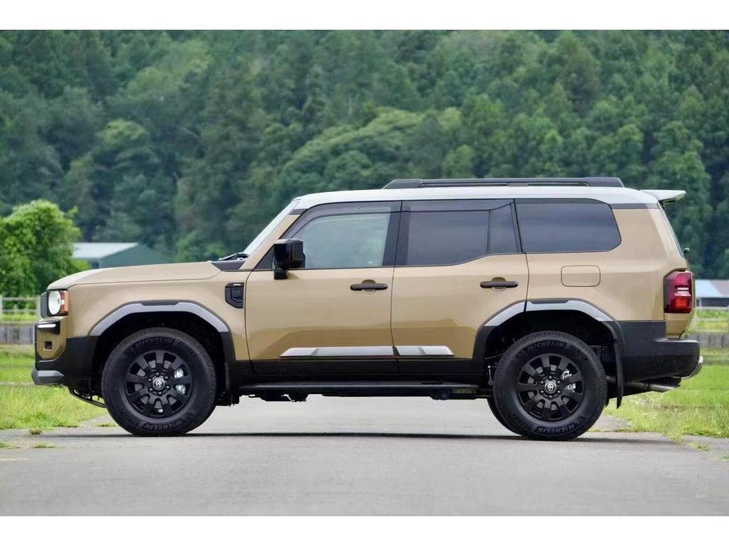 24 New Prado Body Trim: LC250 Door Anti-Collision & Scratch Protection Strip