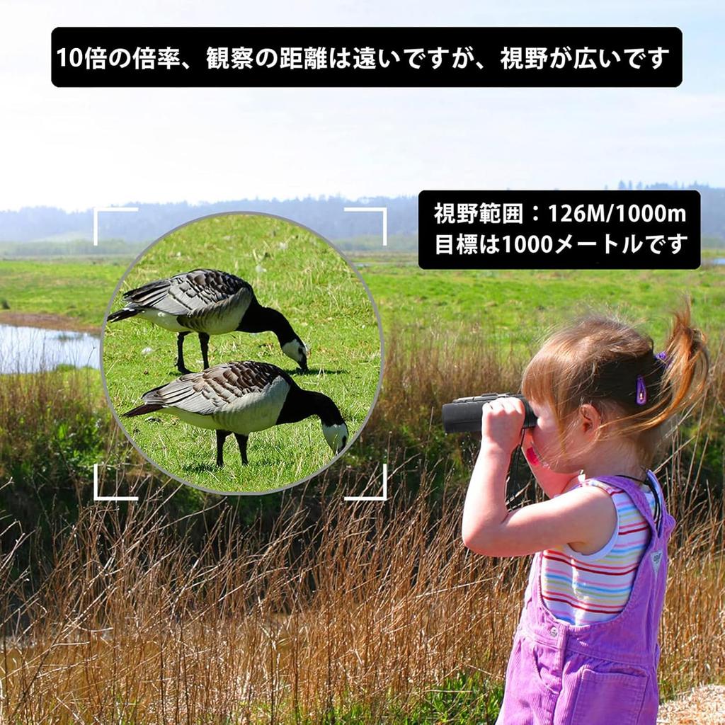 Binoculars Concert 10x 10x22 Equipped with Bak4 High Transmittance Lens Small Waterproof Opera Glasses for Festivals Sports Concerts Live Sports