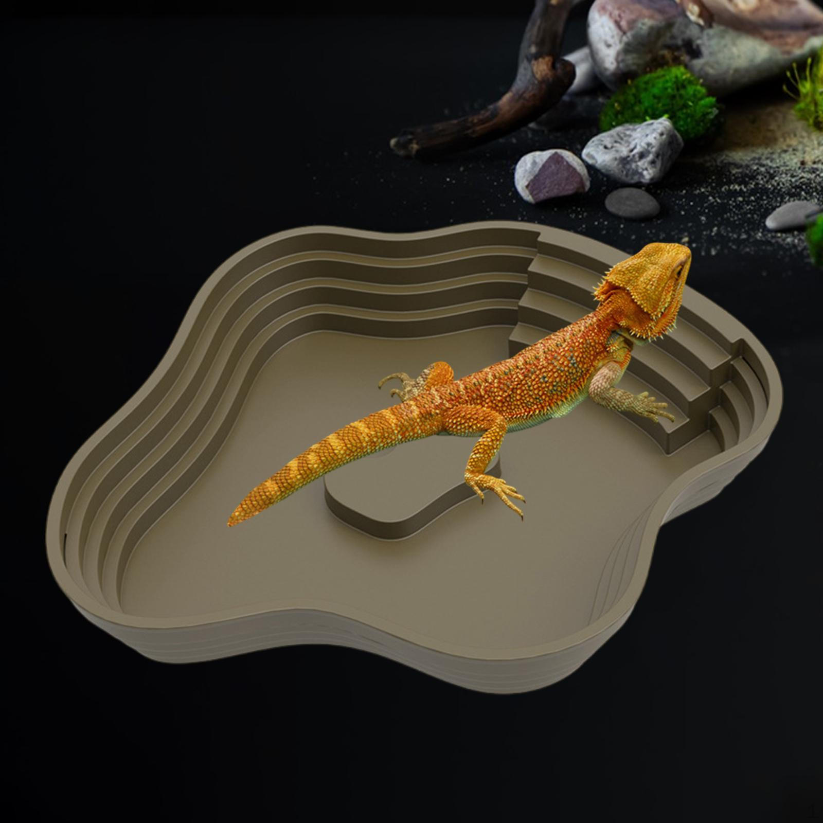 

Рептилія купання басейн ящірки Хабітат прикраса поїлка годівниця для гекона Green S