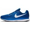 Air Zoom Pegasus 34 'Game Royal' Men's 880555-413