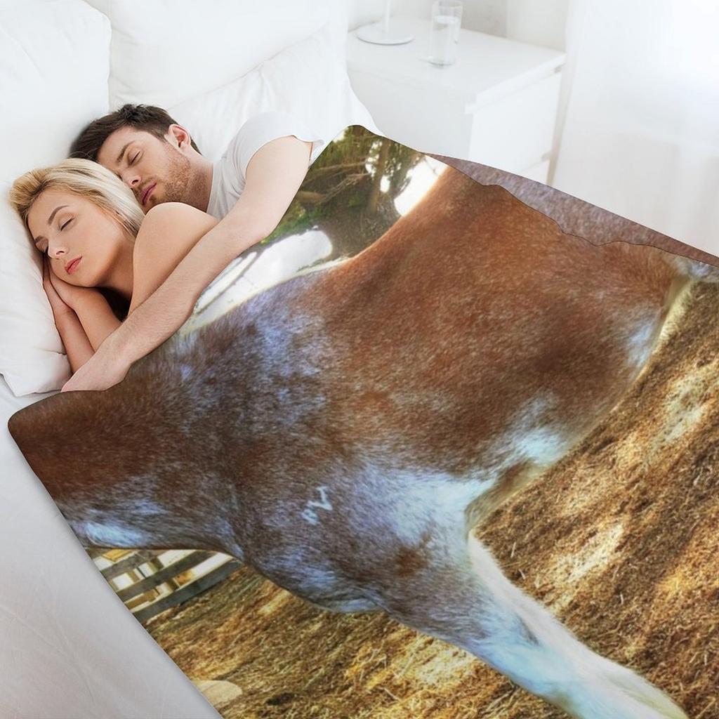 Brown Mottled Clydesdale Horse Throw Blanket Soft Plaid Travel Sofa Quilt Beach Blankets