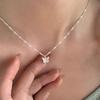 Elegant Korean Style Butterfly Necklace - Women's Summer Light Luxury Choker Clavicle Chain