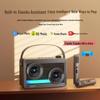 Soaiy SH06 Outdoor KTV Speaker with Dual Microphones CN Plug (adapter Included)